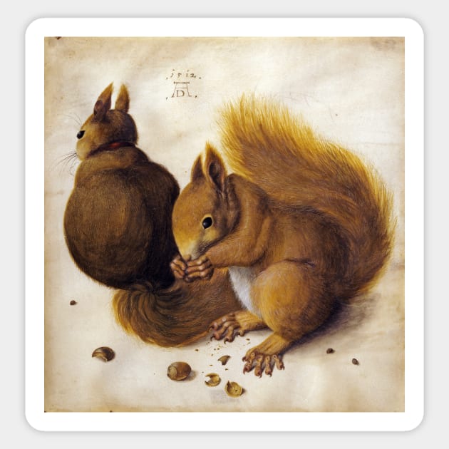 Two Squirrels by Albrecht Dürer Sticker by Amanda1775